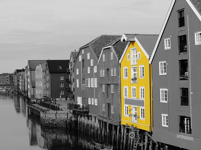 Husrekke i trondheim