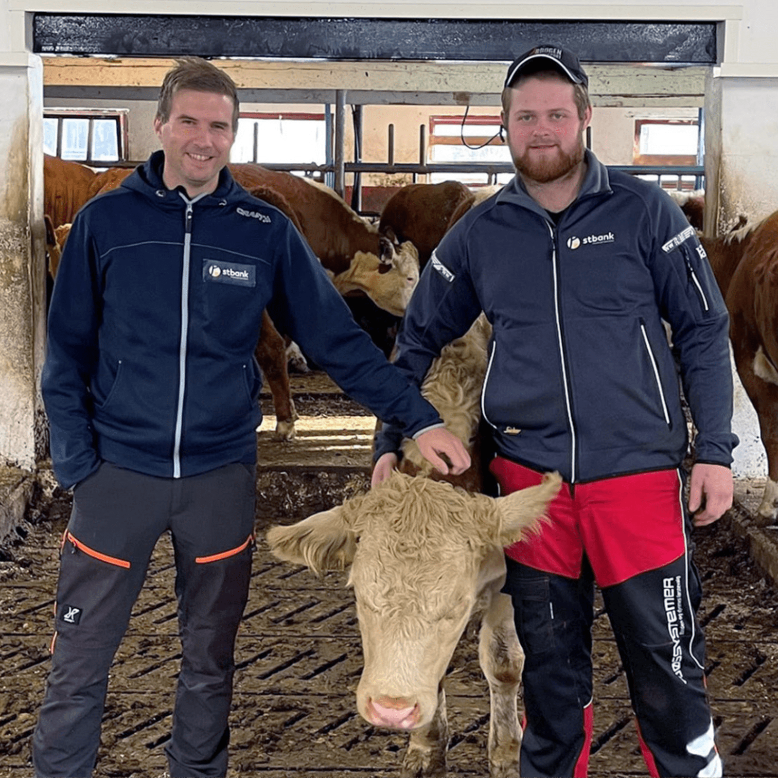 Ronald på gårdsbesøk 1600x1600